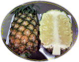 ����Ί_���Y�p�C�i�b�v��